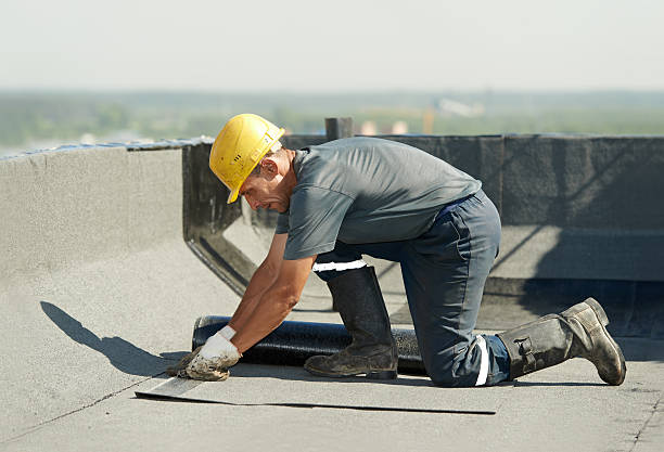 Best Insulation Installation Services in Forestville, CA