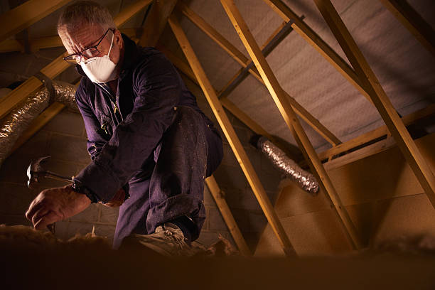 Best Energy Efficiency Solutions in Forestville, CA